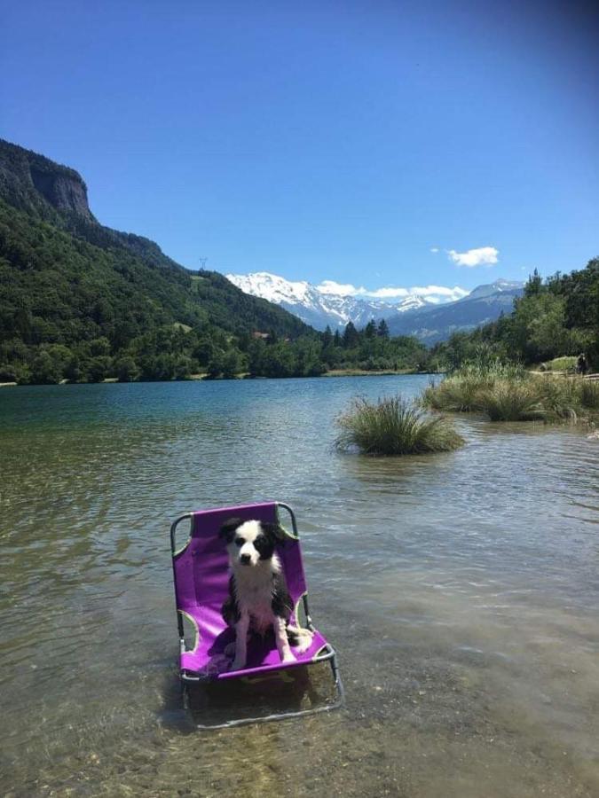 Le Reve De Lou Et Balou Appartement Saint-Gervais-les-Bains Buitenkant foto
